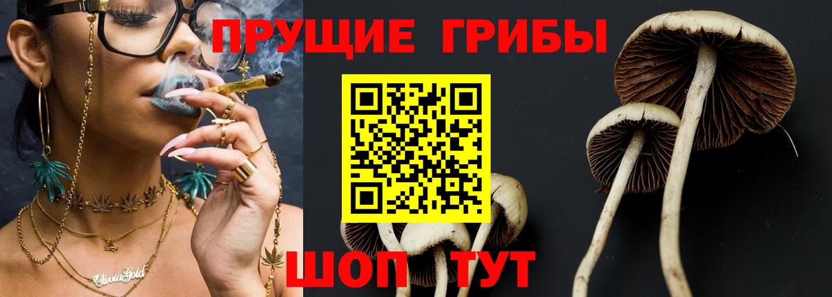 Галлюциногенные грибы ЛСД Новодвинск